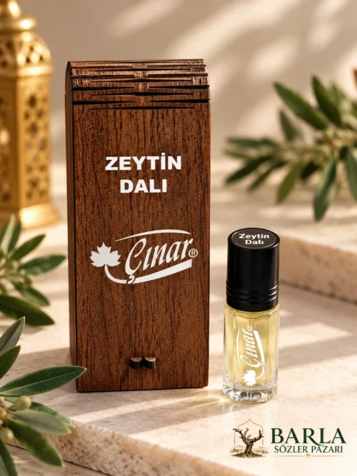 Çınar Zeytin Dalı 3 ml alkolsüz esans özel ahşap kutulu
