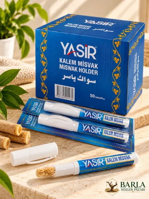 Yasir boş misvak saklama kabı taşınabilir plastik misvak kutusu